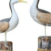 Vögel – weitere Ansicht