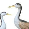 Vögel – Detail der Oberfläche