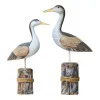 Vögel