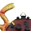 Krabbe – Detail der Oberfläche