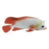 Deko-Fisch in Nahaufnahme
