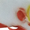 Deko-Fisch – weitere Ansicht