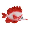 Wandhänger - Fisch in Nahaufnahme