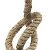 Taulampe mit Schirm – weitere Ansicht