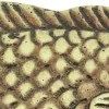 Flaschenöffner - Fisch – Detail der Oberfläche