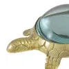 Detailansicht von Lupe - Schildkröte