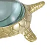 Lupe - Schildkröte in Nahaufnahme