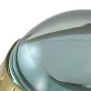 Lupe - Schildkröte – Detail der Oberfläche