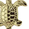 Doppelhaken - Schildkröte in Nahaufnahme