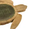 Platte - Schildkröte in Nahaufnahme